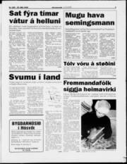 Síða 3