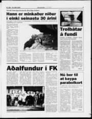 Síða 5