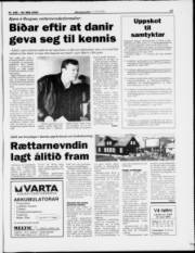 Síða 17