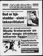 Síða 1