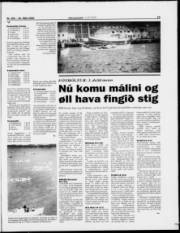 Síða 15