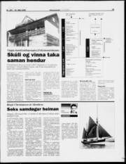 Síða 19