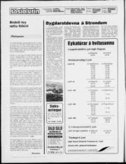 Síða 2