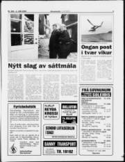 Síða 3