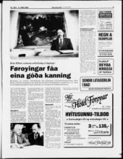 Síða 3