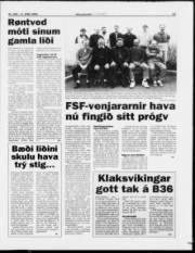 Síða 17