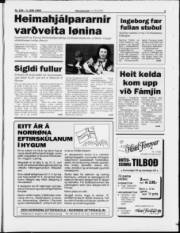 Síða 3
