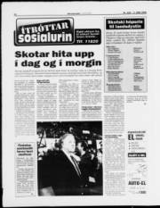 Síða 14