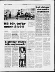 Síða 17