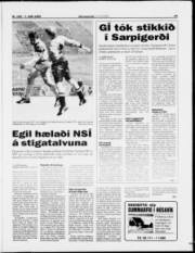 Síða 19