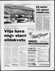Síða 5