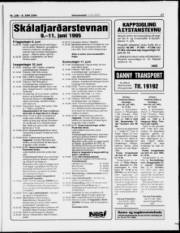 Síða 17
