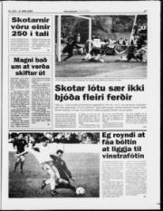 Síða 17