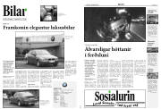 Síða 10