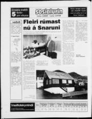 Síða 24