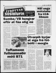 Síða 12