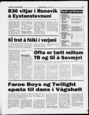 Síða 13
