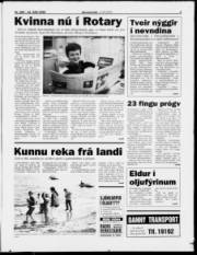 Síða 3