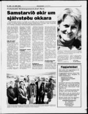 Síða 7