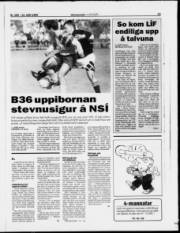 Síða 15