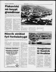 Síða 3