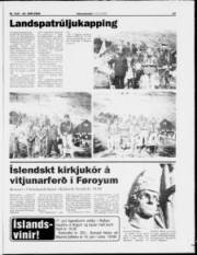 Síða 17