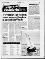 Síða 13