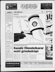 Síða 20