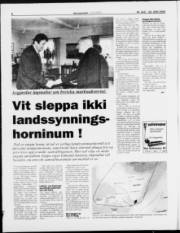 Síða 8