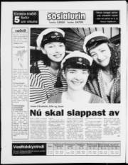 Síða 20