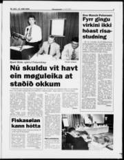 Síða 3