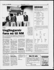 Síða 17