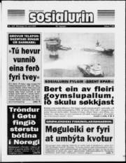 Síða 1