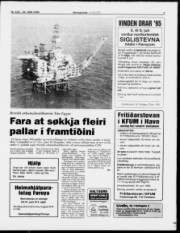 Síða 3