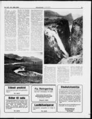 Síða 13