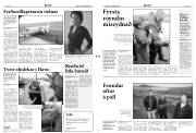 Síða 2