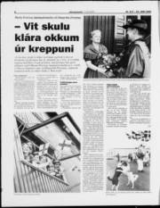 Síða 8