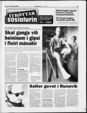 Síða 19