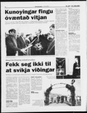 Síða 8