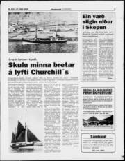 Síða 3