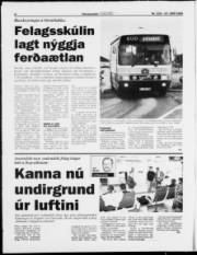 Síða 6