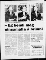 Síða 20