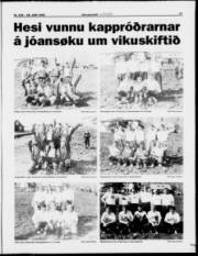 Síða 17