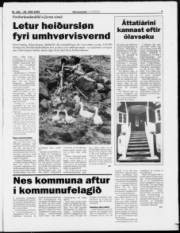 Síða 3