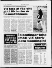 Síða 15