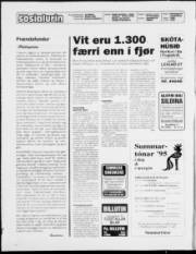 Síða 2