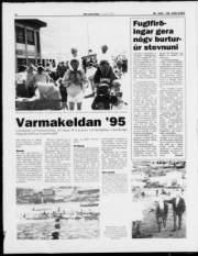Síða 8