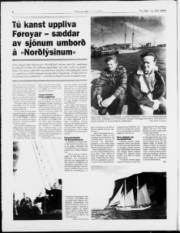 Síða 8