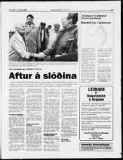 Síða 11