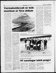 Síða 12